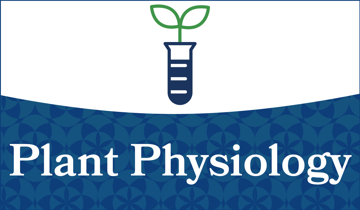Fisiología Vegetal